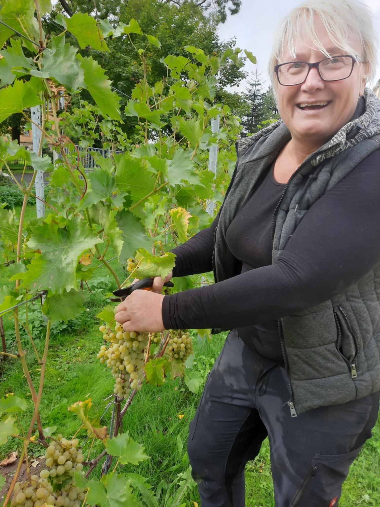 Ferienwohnung Weingut Lahmer August Kretzschau Екстер'єр фото